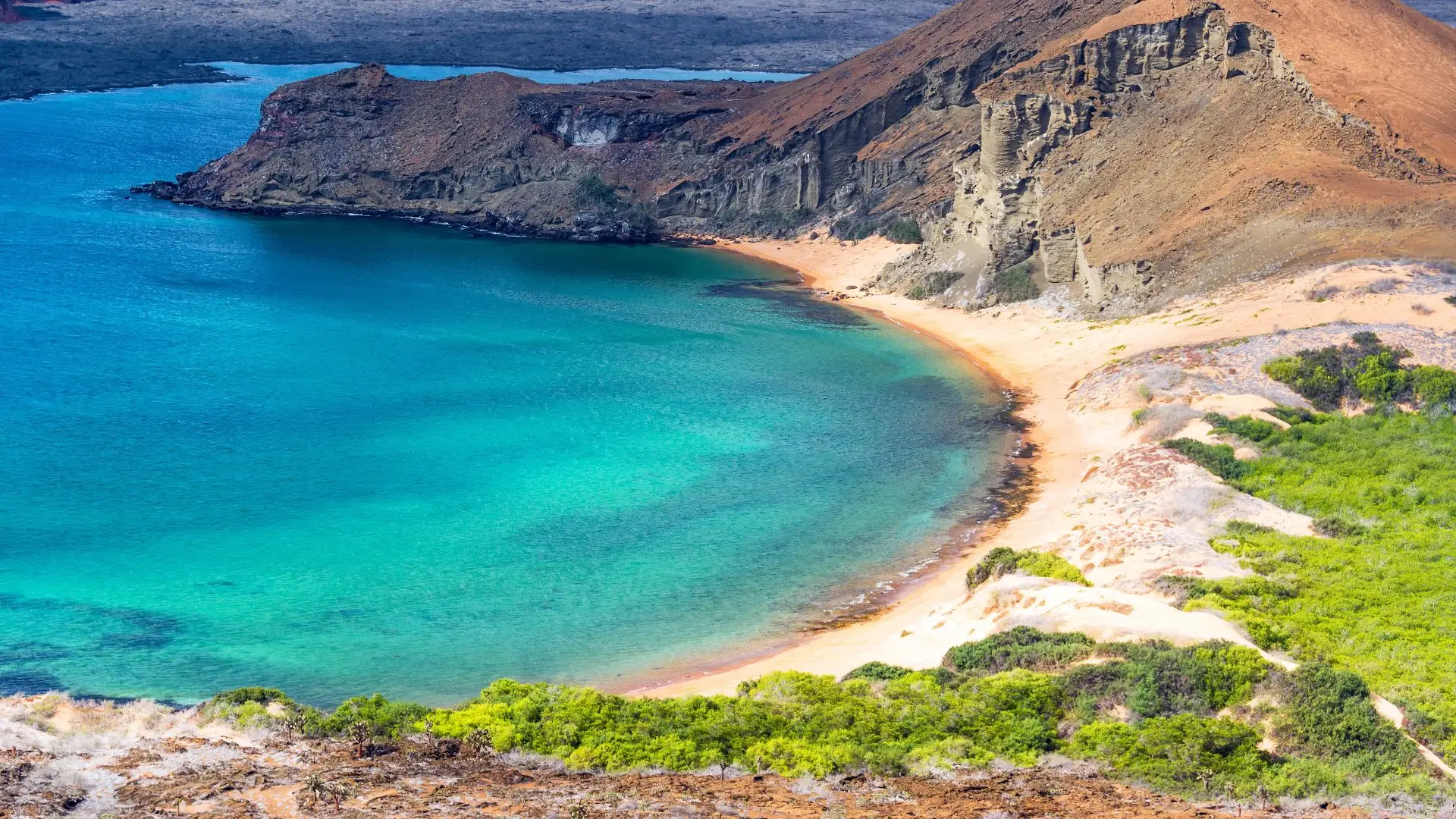 galapagos